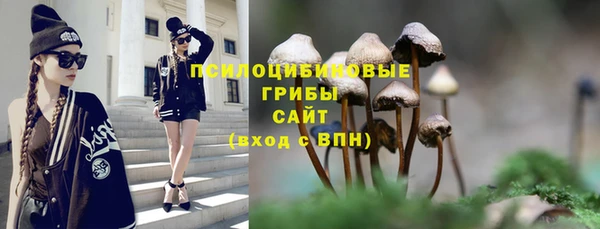 мескалин Алексеевка