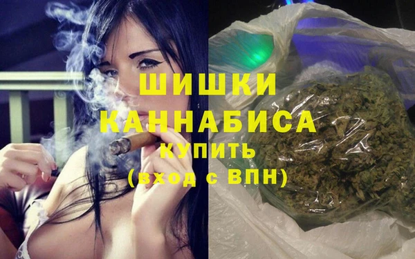 МДПВ Алексин