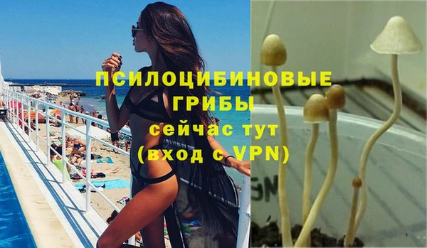 МДПВ Алексин