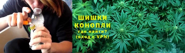 мяу мяу мука Алзамай