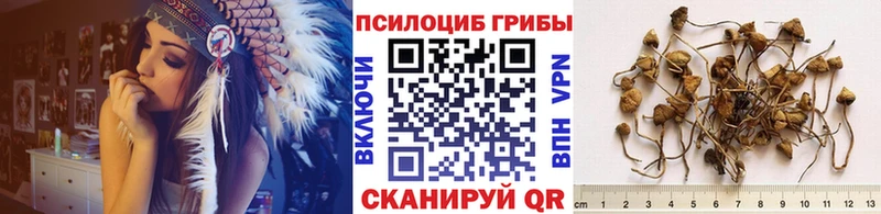 Галлюциногенные грибы мухоморы  Полярные Зори 