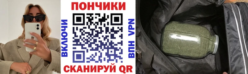 Бошки Шишки ГИДРОПОН  Полярные Зори 